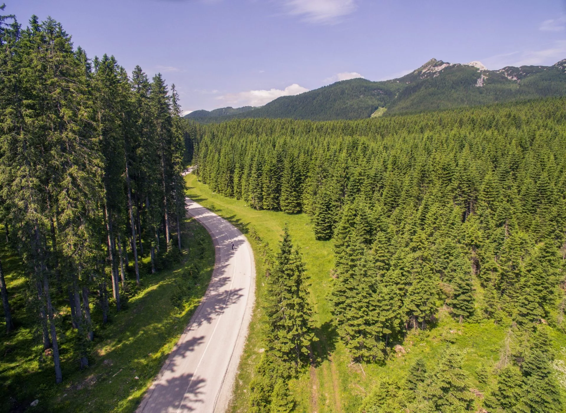 Luftaufnahme: Schöne Berg-Tal-Wald-Landschaft im Sommer