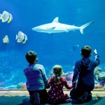 Family visit to the aquarium scaled