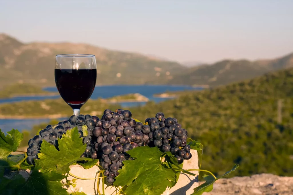 Weinglas und Weintrauben auf Stein