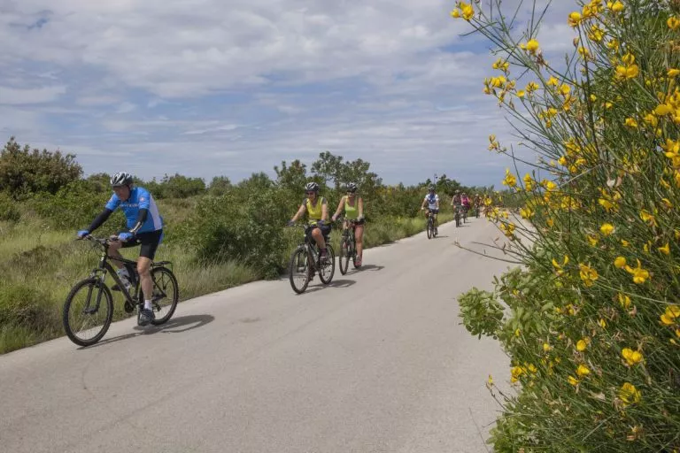 Split noordelijke route geschaald