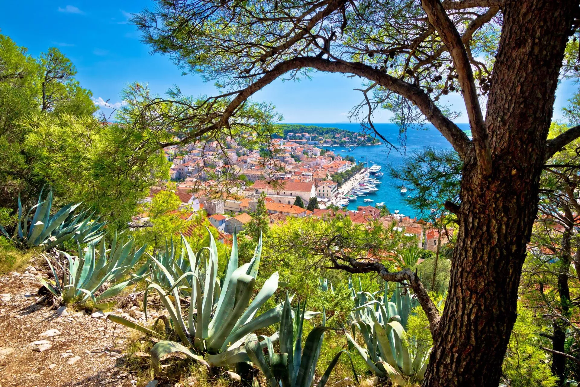 Town of Hvar from above